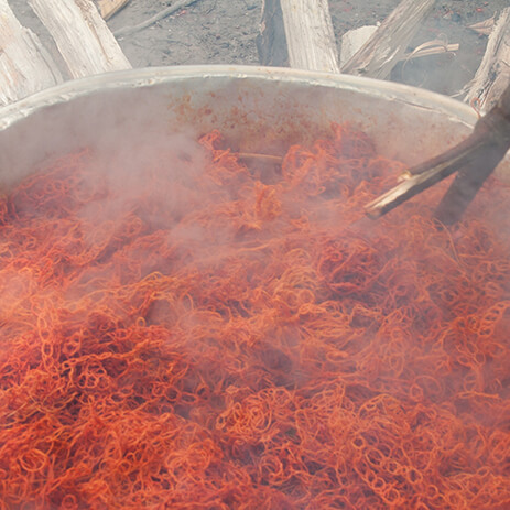 ACHIOTE 13_mosaico galeria_MG_1039.jpg